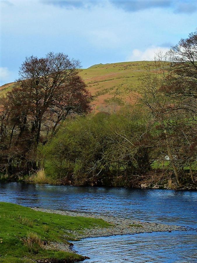 Poplar Lodge, Dee Valley Stays - Cosy Microlodge With Detached Private Shower & Wc Corwen Exterior photo